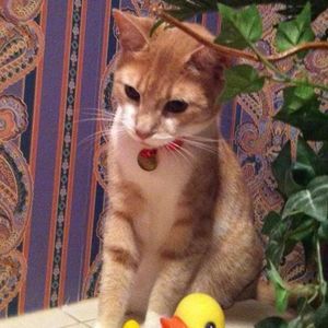 Meet your Posher, Gail